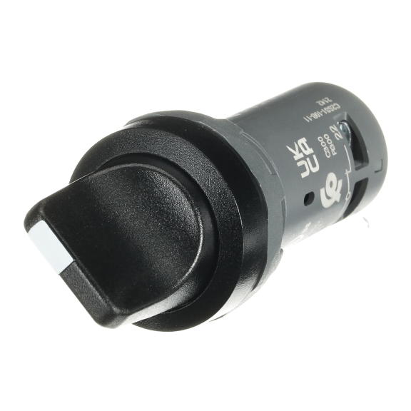 ABB 1SFA619200R1076, C2SS1-10B-11, Kompakt Seri, Siyah, Monoblok Mandal Buton, 0-1 Konumlu, Kalıcı, 1NA+1NK, 22mm