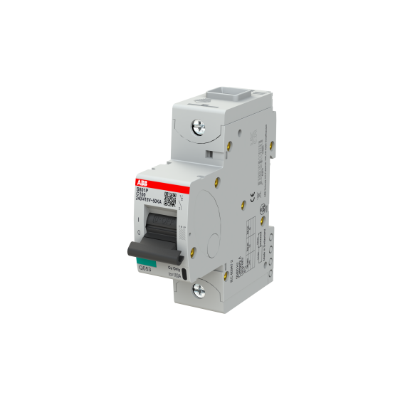 ABB 2CCG001227R0001, S801P-C100, System Pro M, 100 Amper, 1 Kutuplu, C Tipi, Otomatik Sigorta, 15 kA, 1x100C