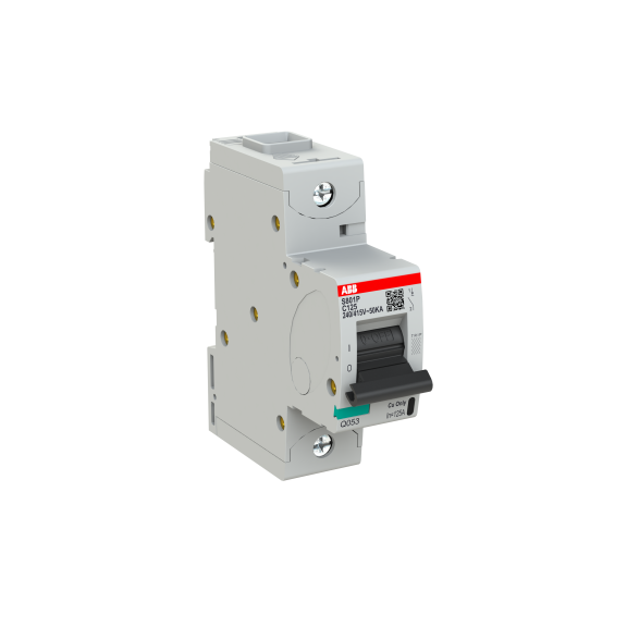 ABB 2CCG001228R0001, S801P-C125, System Pro M, 125 Amper, 1 Kutuplu, C Tipi, Otomatik Sigorta, 15 kA, 1x125C