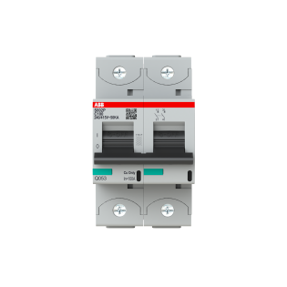 ABB 2CCG001230R0001, S802P-C100, System Pro M, 100 Amper, 2 Kutuplu, C Tipi, Otomatik Sigorta, 15 kA, 2x100C