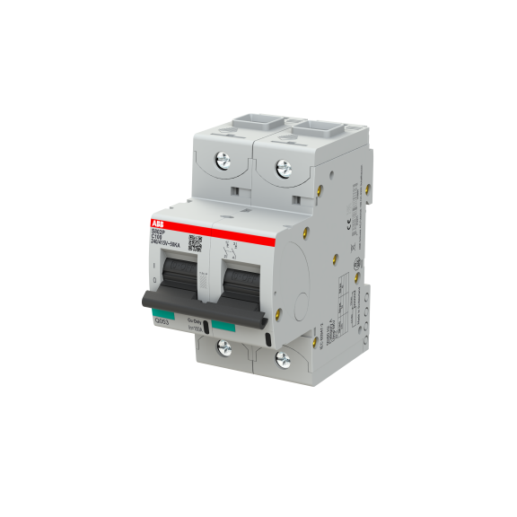 ABB 2CCG001230R0001, S802P-C100, System Pro M, 100 Amper, 2 Kutuplu, C Tipi, Otomatik Sigorta, 15 kA, 2x100C