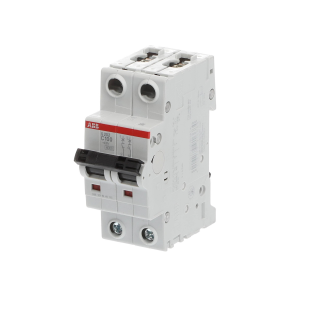 ABB 2CDS252001R0824, S 202-C 100, System Pro M, 100 Amper, 2 Kutuplu, C Tipi, Otomatik Sigorta, 6 kA, 2x100C