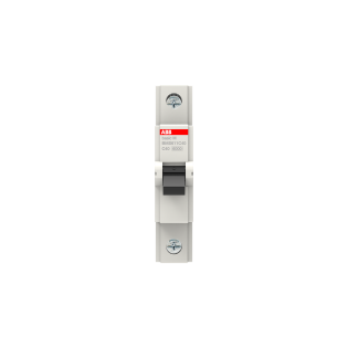 ABB 2CDS651061R0404, BMS611C40, Basic M, 40 Amper, 1 Kutuplu, C Tipi, Otomatik Sigorta, 6 kA, 1x40C
