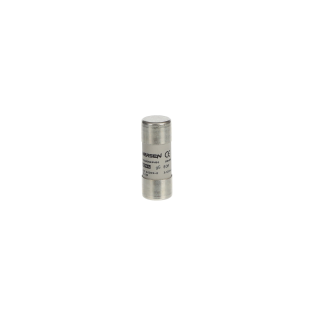 ABB 2CSM257033R1801, E 9F22 GG80, Modüler DIN, 80 Amper, Kartuş Sigorta, 22x58mm, gG Tip, 690 Volt AC, 80 kA