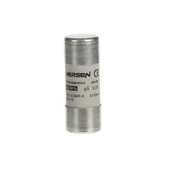 ABB 2CSM258213R1801, E 9F22 GG63, Modüler DIN, 63 Amper, Kartuş Sigorta, 22x58mm, gG Tip, 690 Volt AC, 80 kA