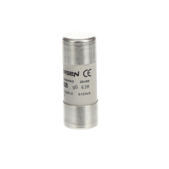 ABB 2CSM258213R1801, E 9F22 GG63, Modüler DIN, 63 Amper, Kartuş Sigorta, 22x58mm, gG Tip, 690 Volt AC, 80 kA