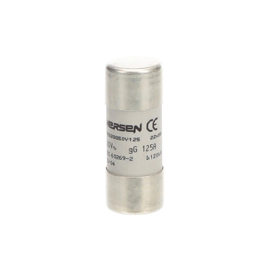 ABB 2CSM258343R1801, E 9F22 GG125, Modüler DIN, 125 Amper, Kartuş Sigorta, 22x58mm, gG Tip, 400 Volt AC, 120 kA