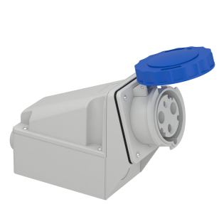 Schneider Electric 81178, Pratika, 3x63 Amper, 2P+T, Düz Makine Prizi, Vida Bağlantılı, IP67