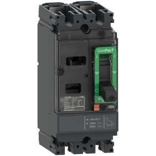 Schneider Electric C10F2TM080, ComPact NSX DC, 80 Amper, 2 Kutuplu, 36 kA, Kompakt Şalter, NSX100F, TM80D