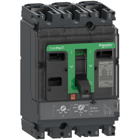 Schneider Electric C25F3TM250, ComPact NSX, 175-250 Amper, 3 Kutuplu, 36 kA, Kompakt Şalter, NSX250F, TM250D