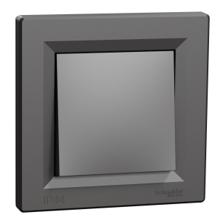 Schneider Electric EPH0100271, Asfora Plus, Antrasit, Anahtar, IP44, Çerçeveli