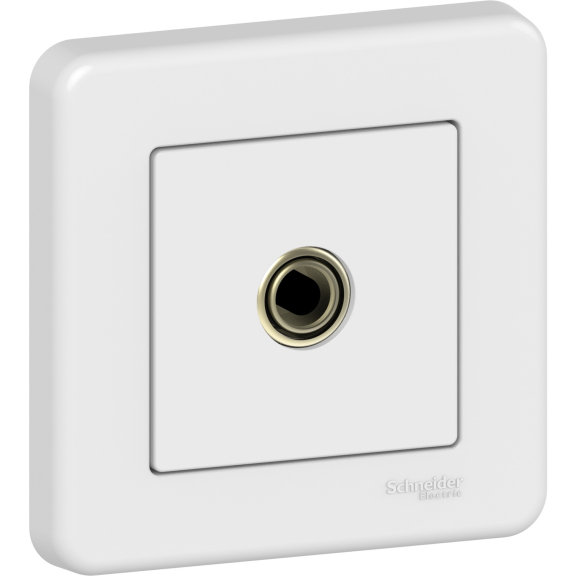 Schneider Electric LNA3200121, Leona, Beyaz, TV Prizi Sonlu, Çerçeveli