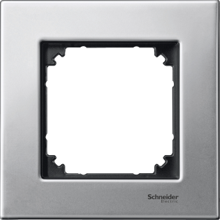 Schneider Electric MTN403160, Merten System M-Elegance Metal, Platinyum Gümüşü, Tekli Çerçeve
