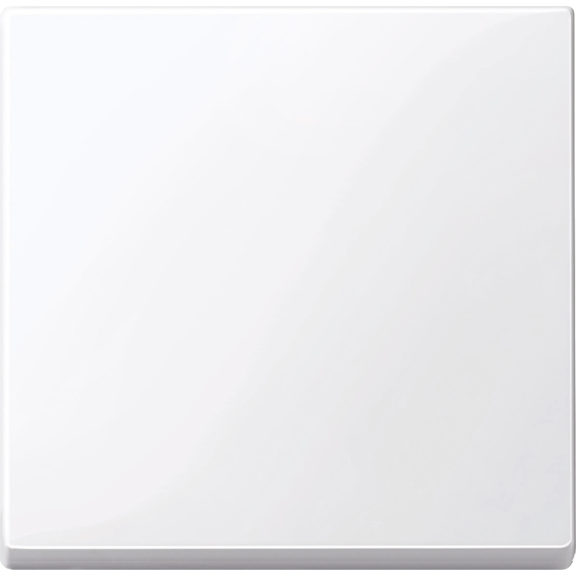 Schneider Electric MTN432125, Merten System M, Aktif Beyaz, Anahtar Tuş Kapağı
