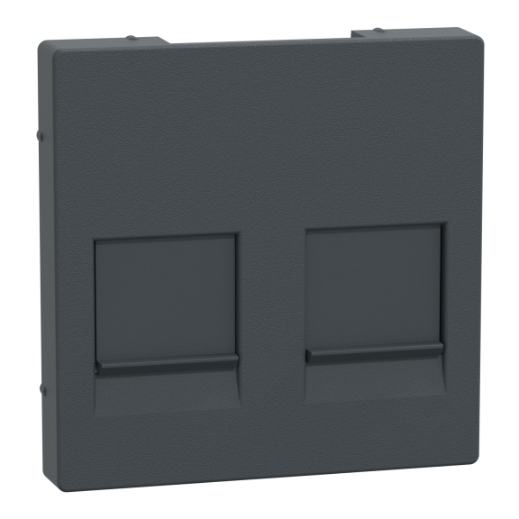 Schneider Electric MTN4562-0414, Merten System M, Antrasit, Boş Data Prizi Kapağı, İkili, RJ45