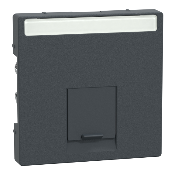 Schneider Electric MTN465814, Merten System M, Antrasit, Data Prizi Kapağı, Tekli, RJ45