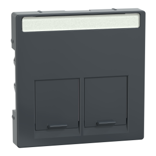 Schneider Electric MTN466514, Merten System M, Antrasit, Data Prizi Kapağı, İkili, RJ45