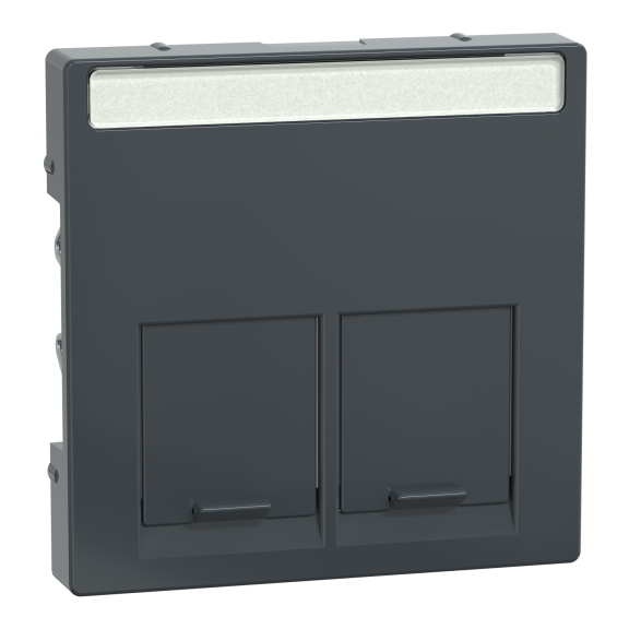 Schneider Electric MTN466514, Merten System M, Antrasit, Data Prizi Kapağı, İkili, RJ45
