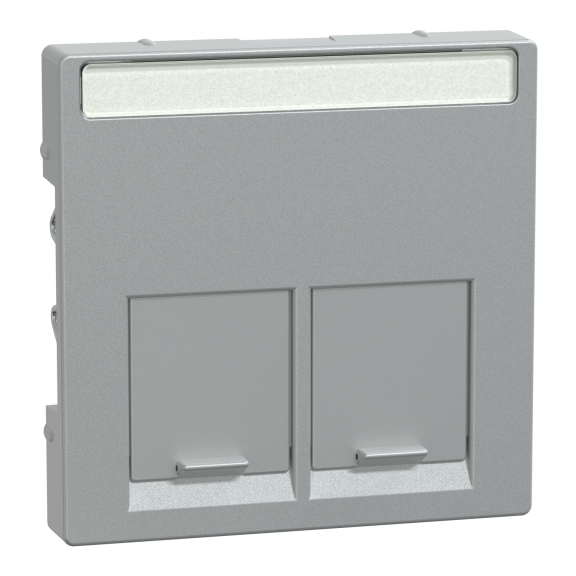 Schneider Electric MTN466560, Merten System M, Alüminyum, Data Prizi Kapağı, İkili, RJ45