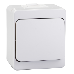 Schneider Electric NML0700133, Nemliyer, Gri, Sıva Üstü Liht Anahtarı