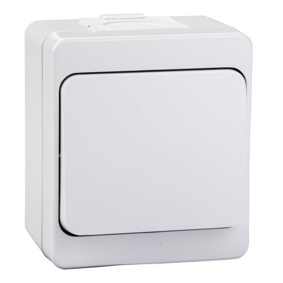 Schneider Electric NML0700133, Nemliyer, Gri, Sıva Üstü Liht Anahtarı