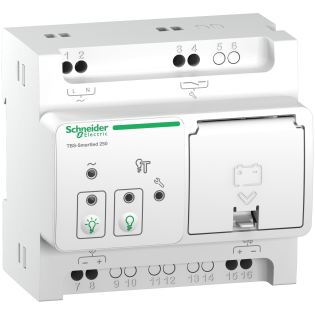 Schneider Electric OVA53162, Exiway Light, 250 Adet Acil Aydınlatma Armatürü için Kontrolör