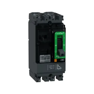 Schneider Electric C10F2TM025, ComPact NSX DC, 25 Amper, 2 Kutuplu, 36 kA, Kompakt Şalter, NSX100F, TM25D