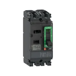 Schneider Electric C10F2TM080, ComPact NSX DC, 80 Amper, 2 Kutuplu, 36 kA, Kompakt Şalter, NSX100F, TM80D