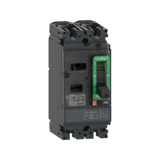 Schneider Electric C10M2TM100, ComPact NSX DC, 100 Amper, 2 Kutuplu, 85 kA, Kompakt Şalter, NSX100M, TM100D