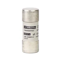 Schneider Electric DF2FN63, TeSys DF, 63 Amper, Kartuş Sigorta, 22x58mm, gG Tip