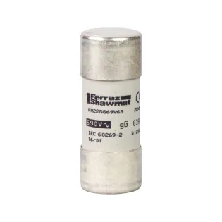 Schneider Electric DF2FN63, TeSys DF, 63 Amper, Kartuş Sigorta, 22x58mm, gG Tip