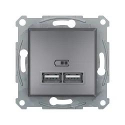 Schneider Electric EPH2700262, Asfora Plus, Çelik, USB Prizi, 2.1 Amper, İkili, Type A, Çerçeveli