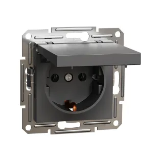 Schneider Electric EPH3100171, Asfora Plus, Antrasit, Topraklı Priz, Kapaklı, Çerçevesiz