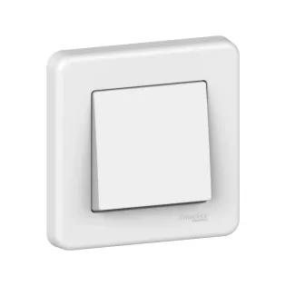 Schneider Electric LNA0100321, Leona, Beyaz, Anahtar, Çerçeveli