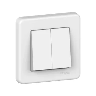 Schneider Electric LNA0600321, Leona, Beyaz, İkili Vavien Anahtar, Çerçeveli