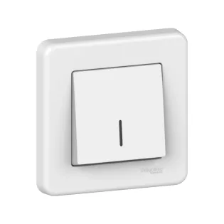 Schneider Electric LNA1600321, Leona, Beyaz, Işıklı Liht Anahtarı, Çerçeveli