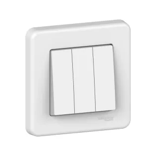 Schneider Electric LNA2100321, Leona, Beyaz, Üçlü Anahtar, Çerçeveli