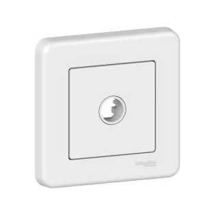 Schneider Electric LNA5500121, Leona, Beyaz, Kablo Çıkışı, Çerçeveli