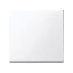 Schneider Electric MTN432125, Merten System M, Aktif Beyaz, Anahtar Tuş Kapağı