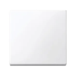 Schneider Electric MTN432125, Merten System M, Aktif Beyaz, Anahtar Tuş Kapağı