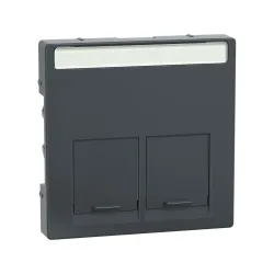 Schneider Electric MTN466514, Merten System M, Antrasit, Data Prizi Kapağı, İkili, RJ45