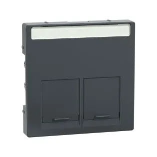 Schneider Electric MTN466514, Merten System M, Antrasit, Data Prizi Kapağı, İkili, RJ45