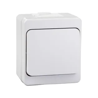 Schneider Electric NML0700121, Nemliyer, Beyaz, Sıva Üstü Liht Anahtarı