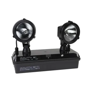Schneider Electric OVA41435E, Exiway Smartduo, Seyyar Acil Durum Aydınlatma Armatürü, 400lm, 2x20W, IP65, Süreksiz 1 Saat