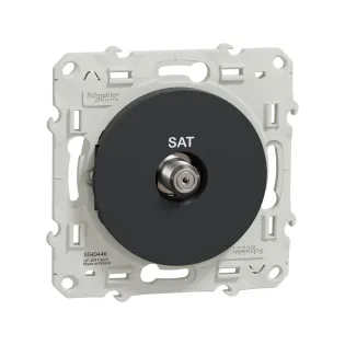 Schneider Electric S540446, Odace, Antrasit, SAT Prizi, Sonlu, Çerçevesiz