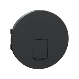 Schneider Electric S540671, Odace, Antrasit, Data İnternet Prizi Kapağı, RJ45, Tekli